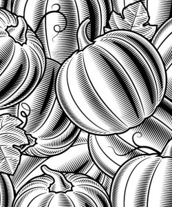 Black and White Pumpkins